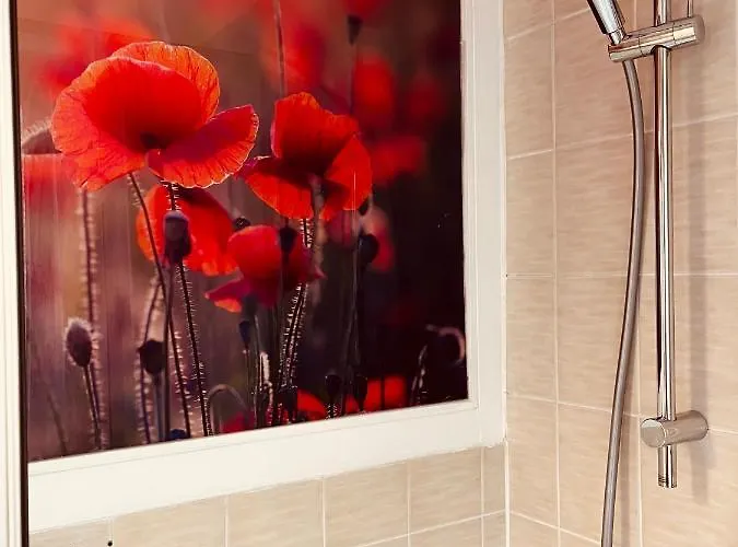 Apartman Meyver Centrum. *